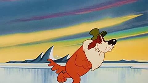 Woody Woodpecker and Friends - 1953x13 - Chilly Willy