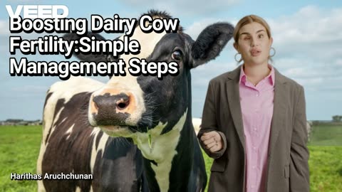 High Fertility Cycle in Your Dairy Herd:Simple Management Tips