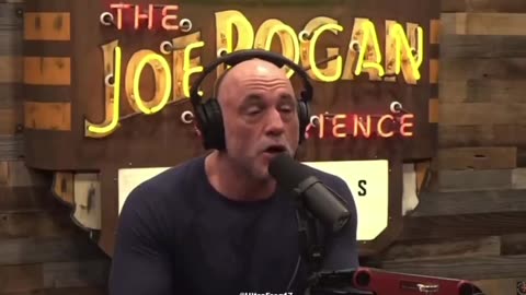 Joe Rogan. Pizzagate is REAL!