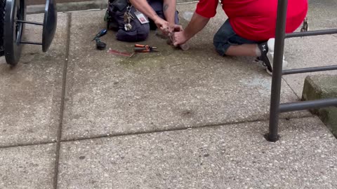 Squirrel Rescue From Milkshake Cup