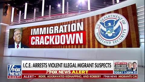 Exclusive: ICE arrests illegal migrants