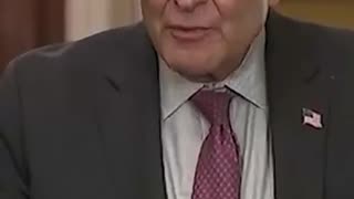 Schumer on voting for the New York mayoral elections