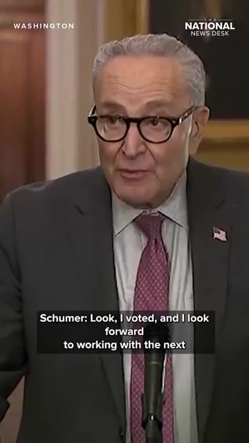 Schumer on voting for the New York mayoral elections