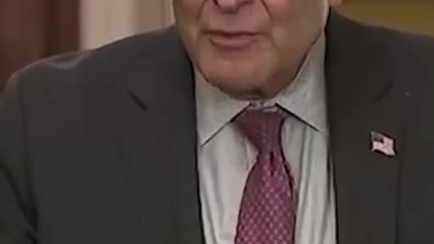 Schumer on voting for the New York mayoral elections