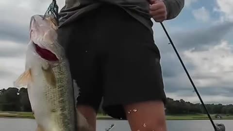sexy man - catching a bass mid pee is crazy