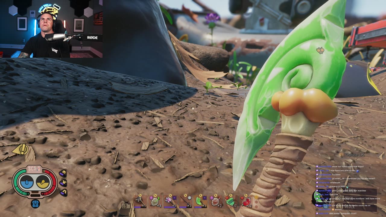 I EAT BUGS