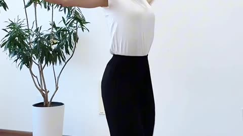 1237.原創大雁飛