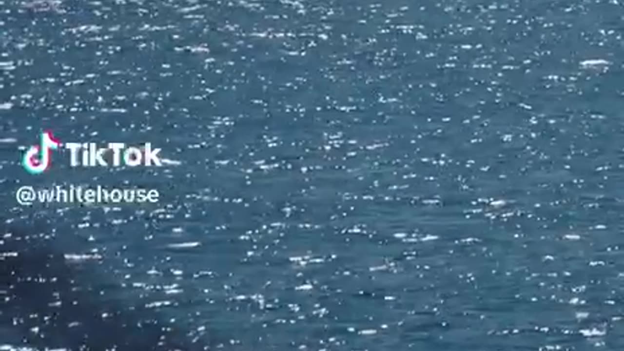 The Navy’s new BATTLESHIP 🇺🇸