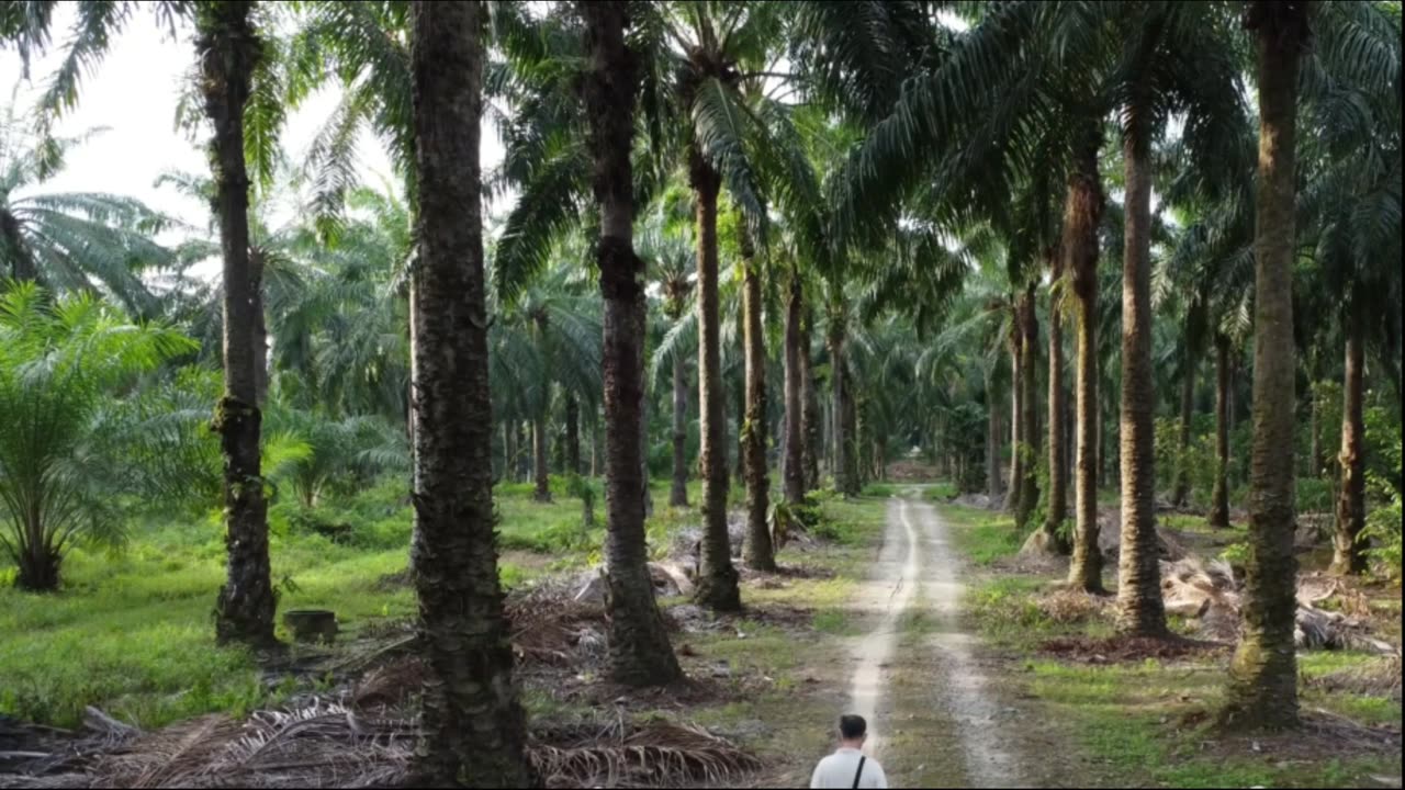 The Child Who Saw 2050_ A Time Travel Mystery