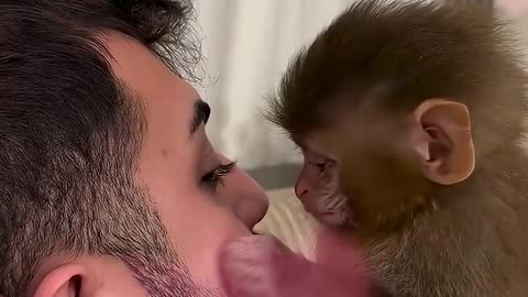 This man found a monkey lying motionless on the ground and then ..