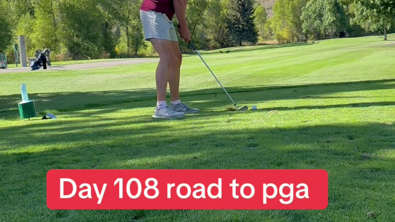 Day 108 road to pga tour