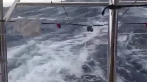 sailing the ocean video