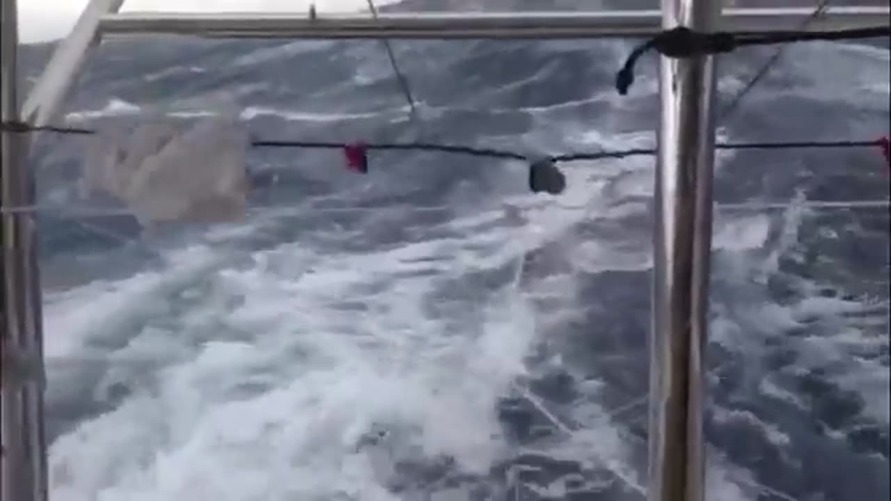 sailing the ocean video