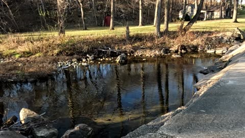 Memorial Minute - DEPUTY AARON P. ROBERTS