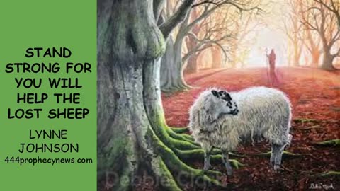 050825 STAND STRONG FOR YOU WILL HELP THE LOST SHEEP - LYNNE JOHNSON