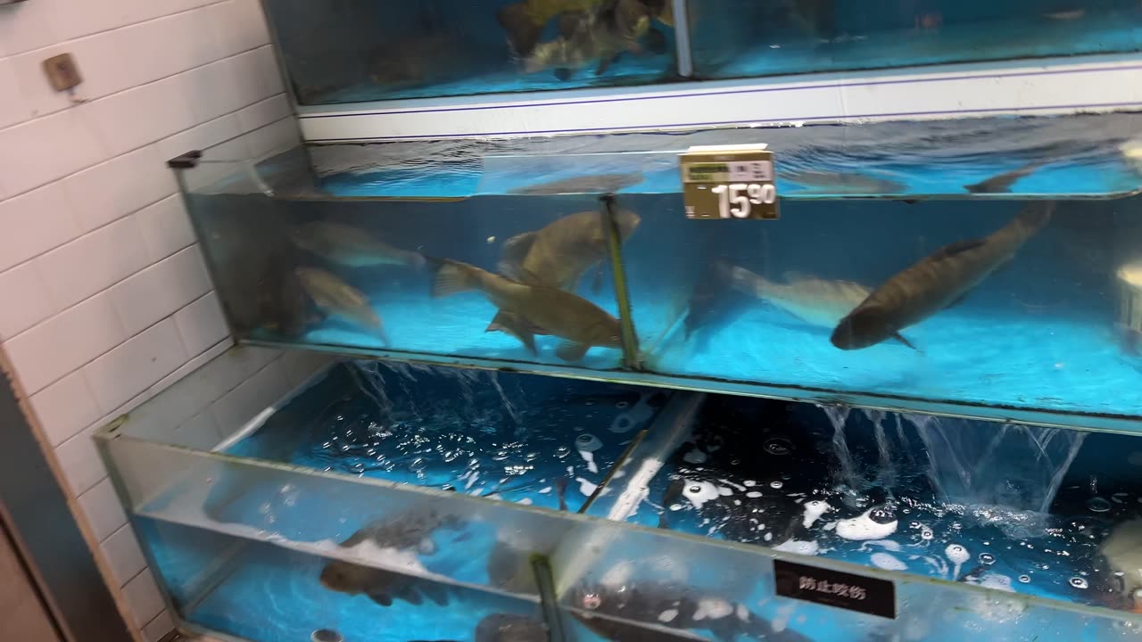 This Chinese seafood is NEXT LEVEL delicious. 🤯 Prepare to drool!
