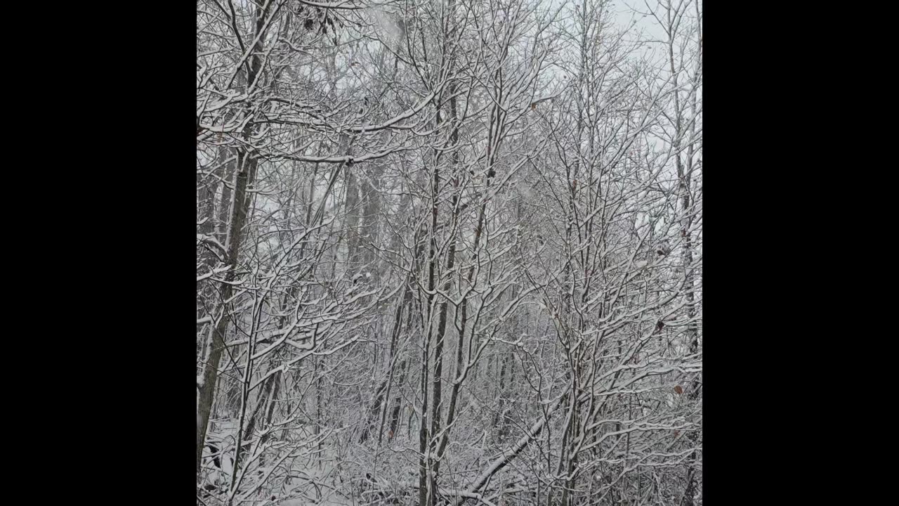 Ohio during Thanksgiving 2025.