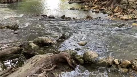 RIVER AND ROCK