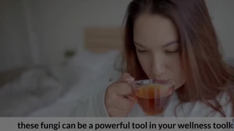 Adaptogenic Mushrooms Benefits and Risks You Should Know Before Using