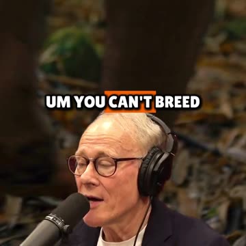 Graham Hancock Did Advanced Civilizations Exist 300,000 Years Ago Joe Rogan Experience