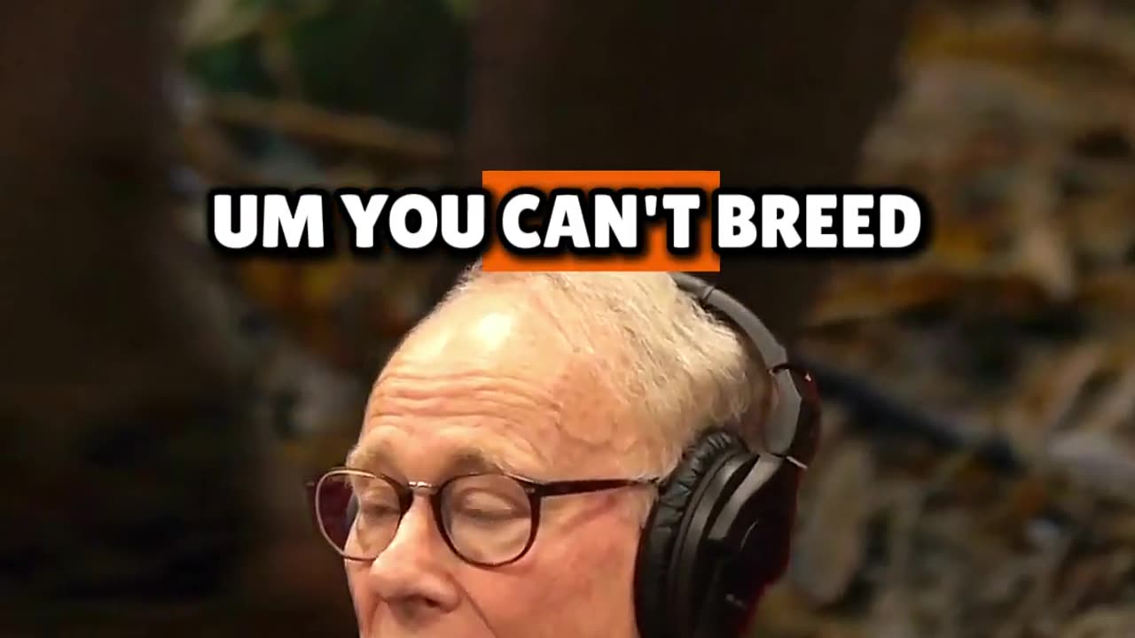 Graham Hancock Did Advanced Civilizations Exist 300,000 Years Ago Joe Rogan Experience
