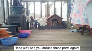 Emma's Animals 57 - I Am At One With the Universe