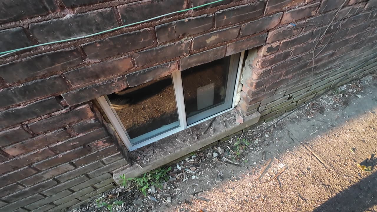 Lets see if Angry L knocked down extension on doc's house. SHEA SHOW