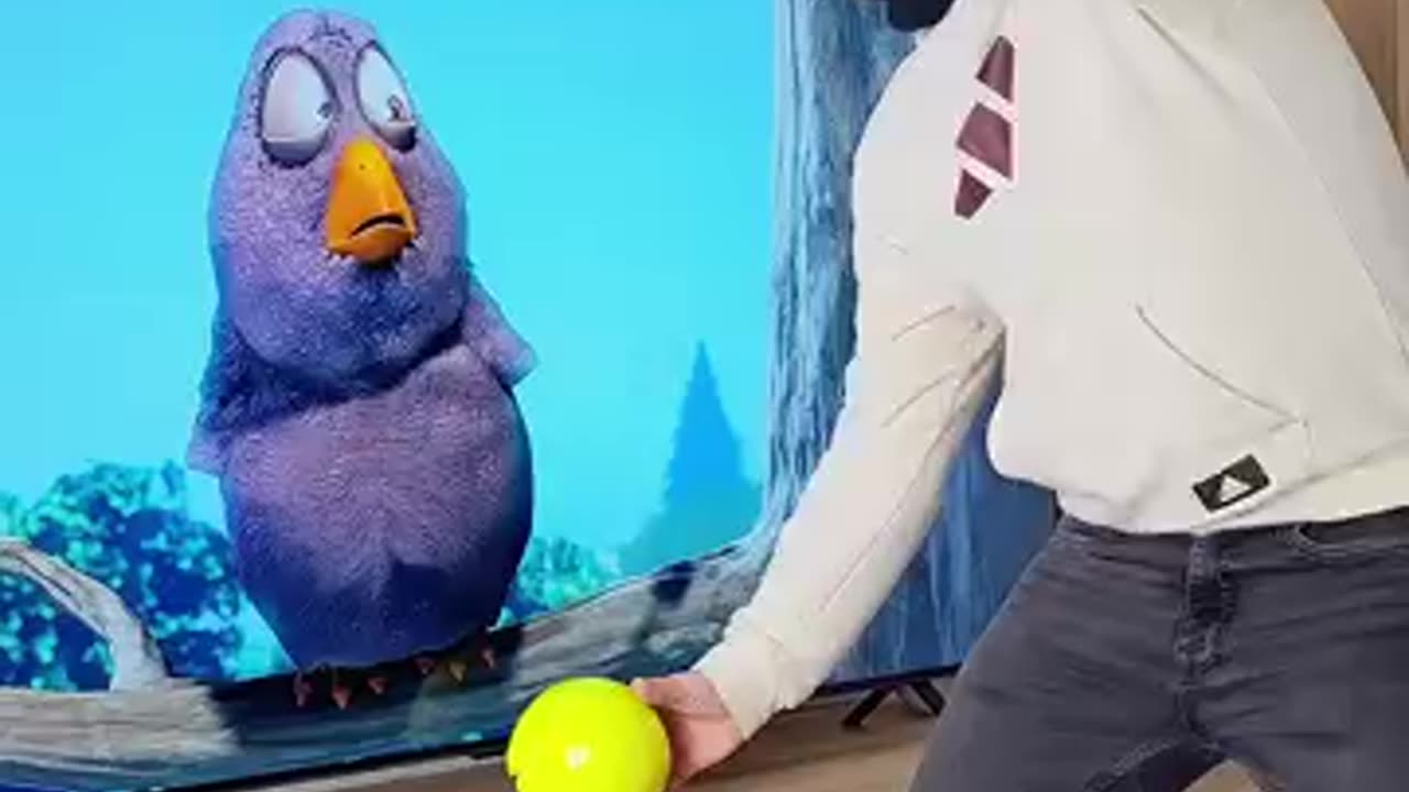 Funny video clip