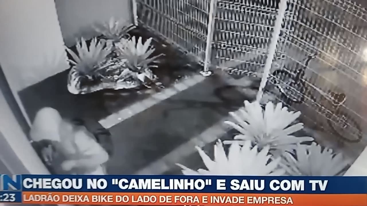 Vila Velha A Cidade Sitiada