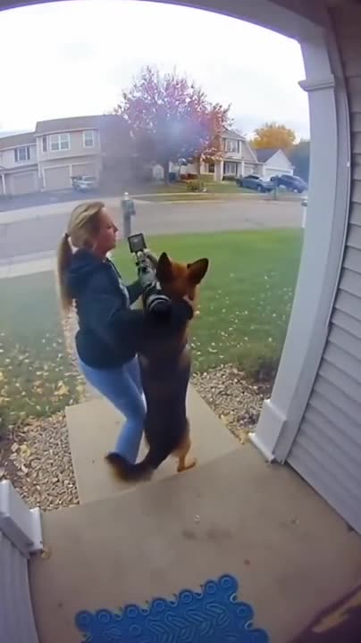 We all know dogs would do this if they could