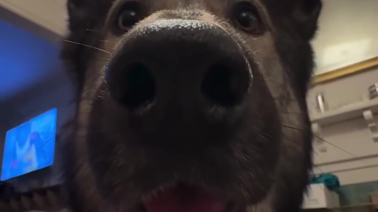 Awwww🥰