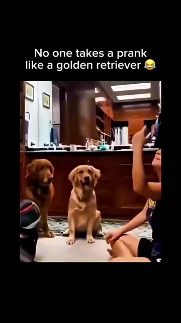 Their faces are priceless