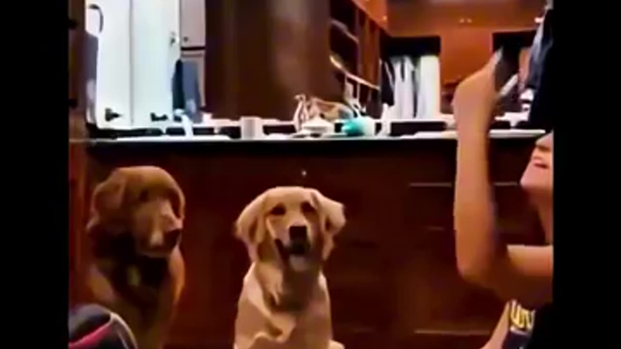 Their faces are priceless