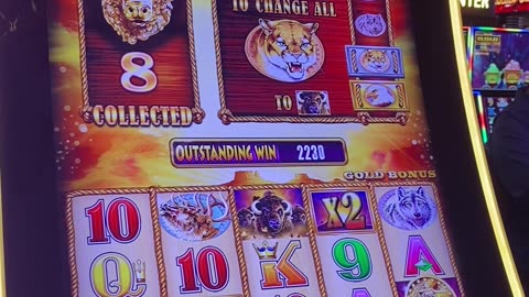 DOUBLED OUR MONEY ON BUFFALO!!!