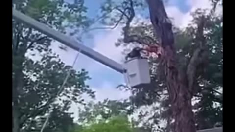 Anyone else surprised that boom didn’t snap with the whole head of that tree landing on it🫨