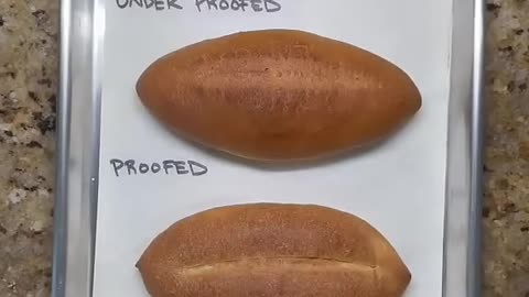 proofing bread