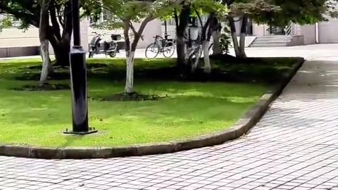 😂🇨🇳 Meanwhile in China... | FunFM