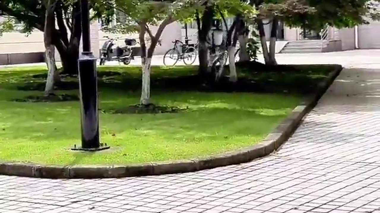 😂🇨🇳 Meanwhile in China... | FunFM
