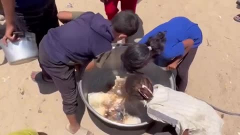 Charity kitchen from gaza