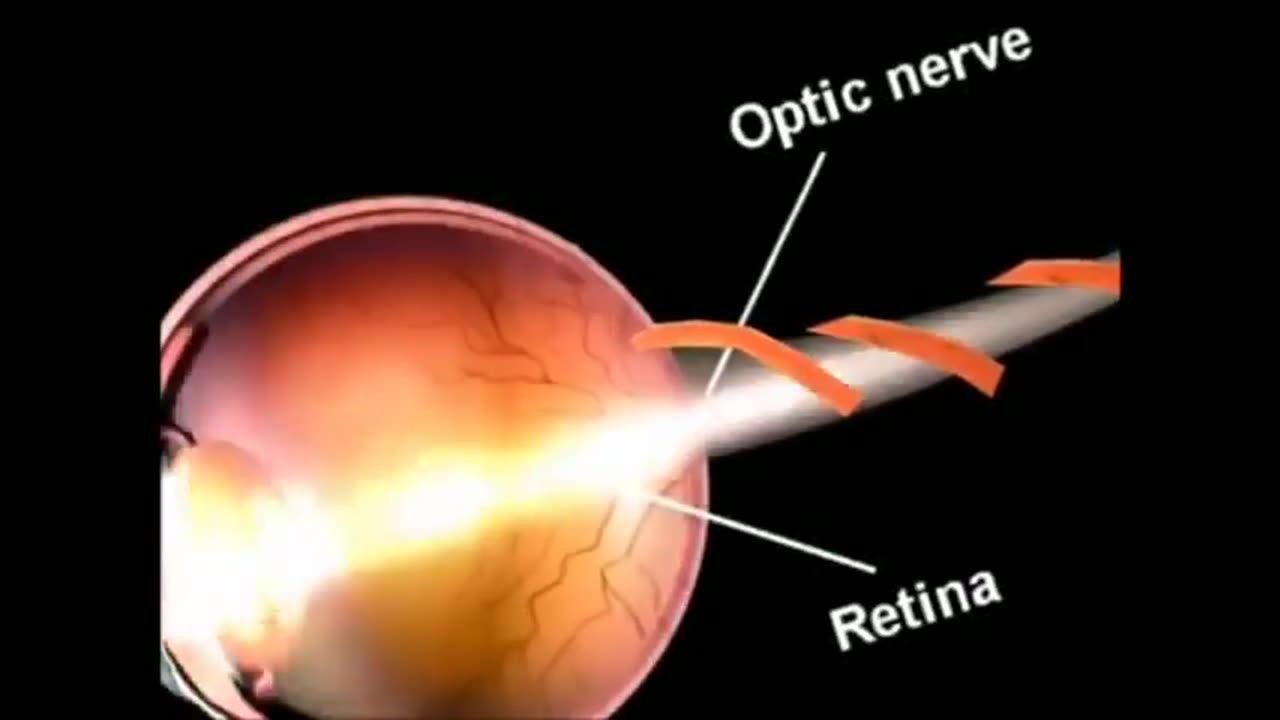 THE BLACK EYE CLUB, DONALD MARSHALL AND THE VRIL THEORY 🐍