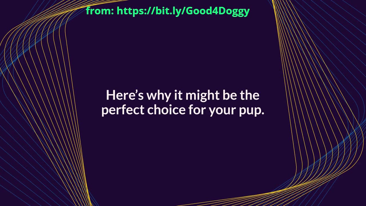 The Benefits of Dog Daycare: Is It Right for Your Pet?