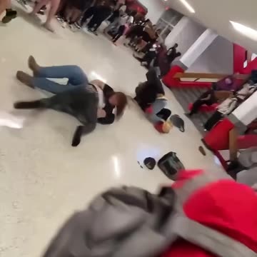 School Fight.