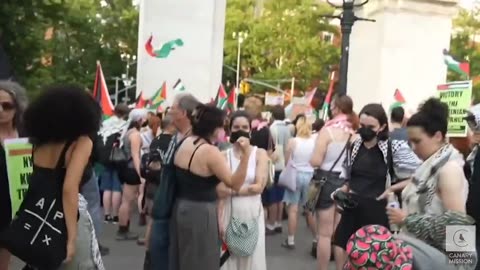 A Warning From American Muslims for Palestine