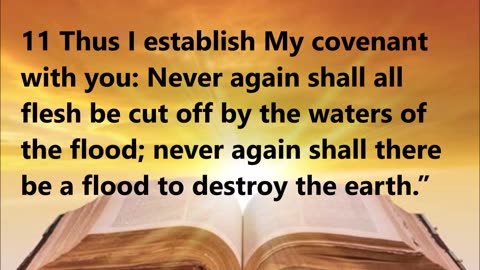 God's Promise to Noah
