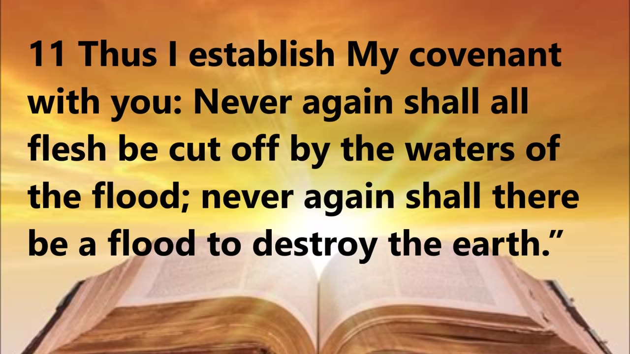 God's Promise to Noah