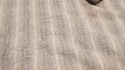 Audiobook recording part 9, chapters 49-54