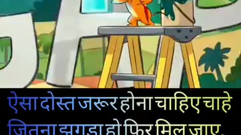 Funny videos