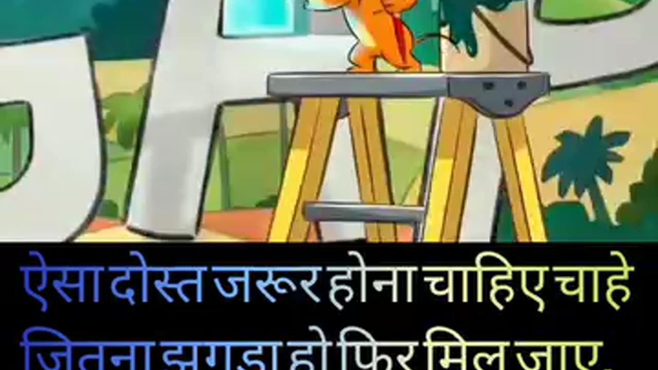 Funny videos