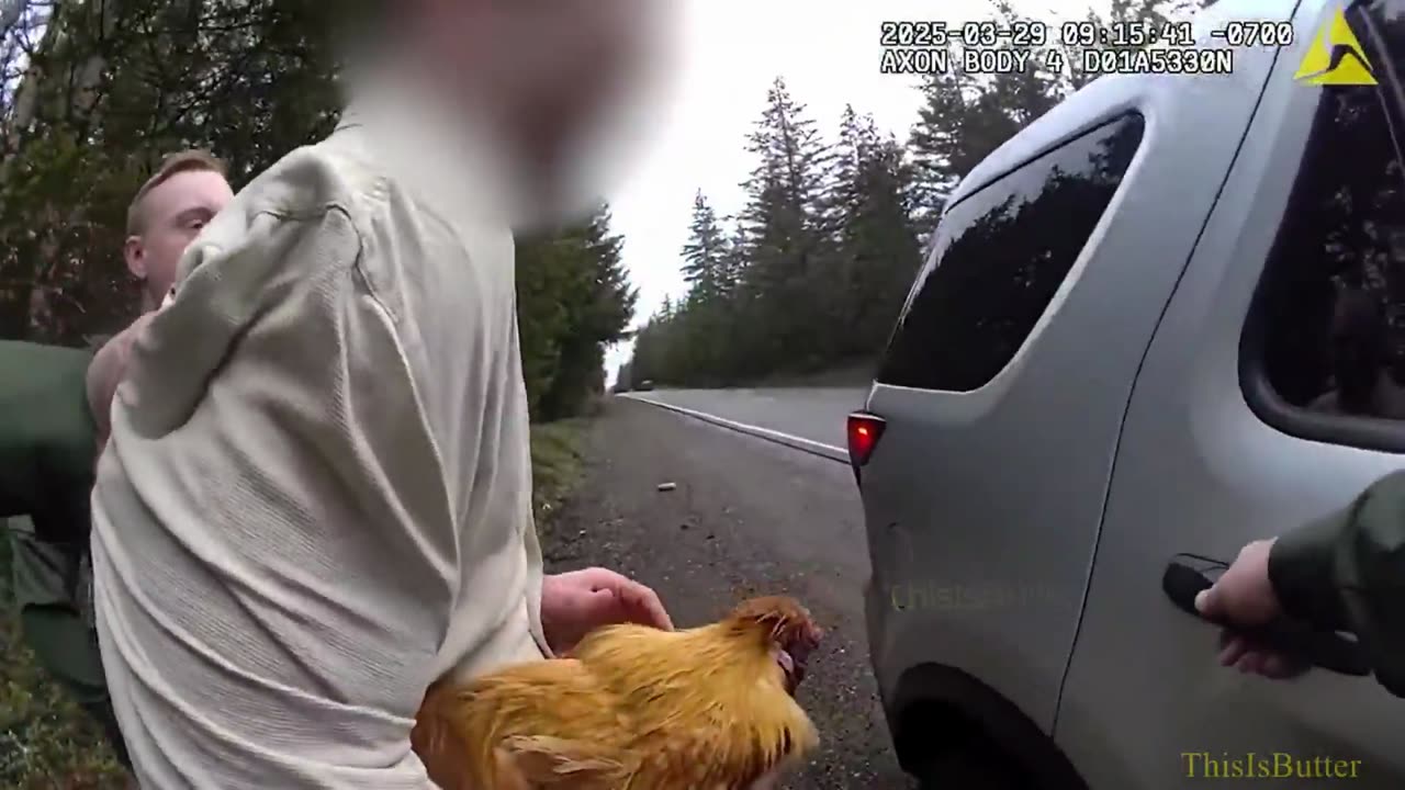 Man Steals Ex-Girlfriend's Pet Chicken 'Polly', Gets Caught After She Calls 911