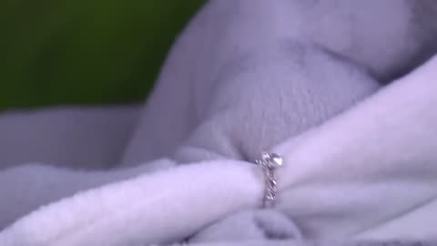 Porque el amor manda - Capitulo 156